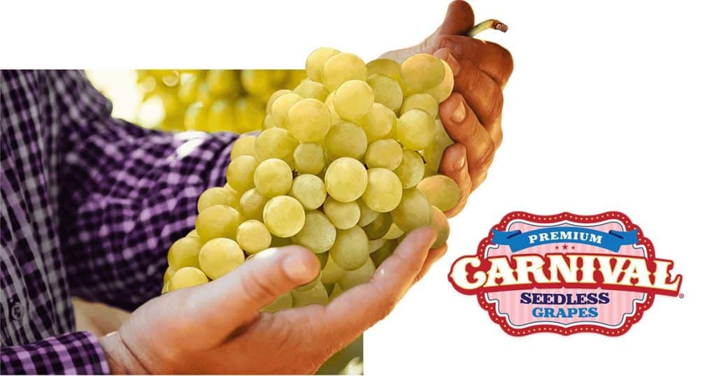 Why Is Sweet Carnival® in California a Must-Try Grape Brand Variety ...